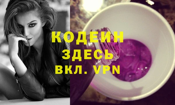 индика Арсеньев