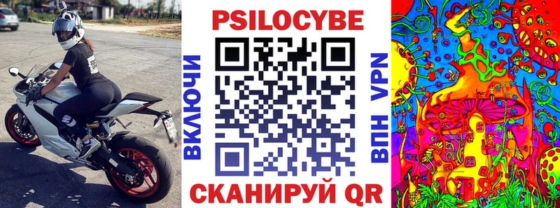 Галлюциногенные грибы Cubensis  купить наркоту  Салехард 